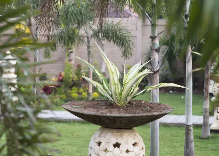 The Palm Grove